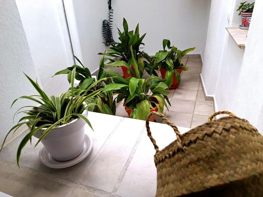 Apartamento Alberzana - Barrio Albaicin - Grenade Extérieur photo